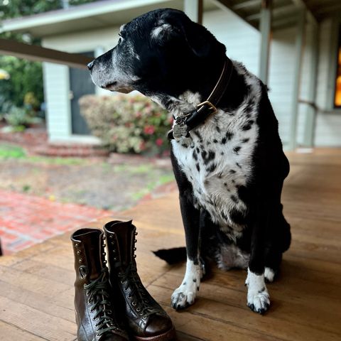 Flame Panda Monkey Boot in Shinki Olive Oiled Horsebutt