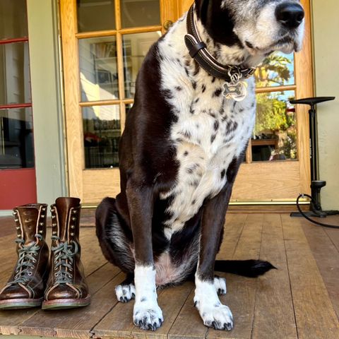 View photo of Flame Panda Monkey Boot in Shinki Olive Oiled Horsebutt