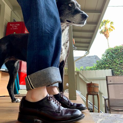 View photo of Alden Plain Toe Derby in Horween Color 8 Shell Cordovan