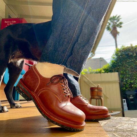 Sagara x Stitchdown Bandung Derby in Conceria Cloe Mahogany Horsebutt