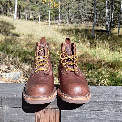 View photo of Origin The American Bison 6" Boot in American Bison