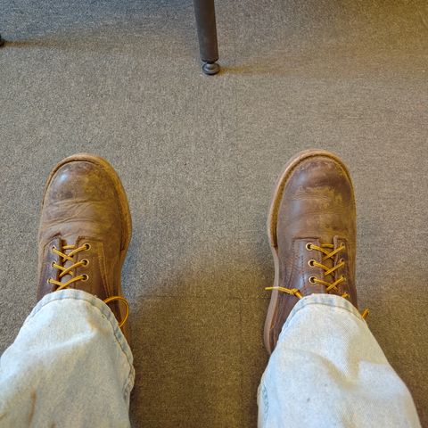 Origin The American Bison 6" Boot in American Bison