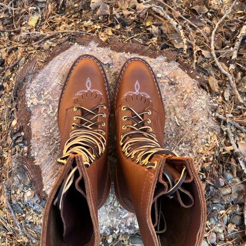 Nicks Packer in Seidel 1964 Brown