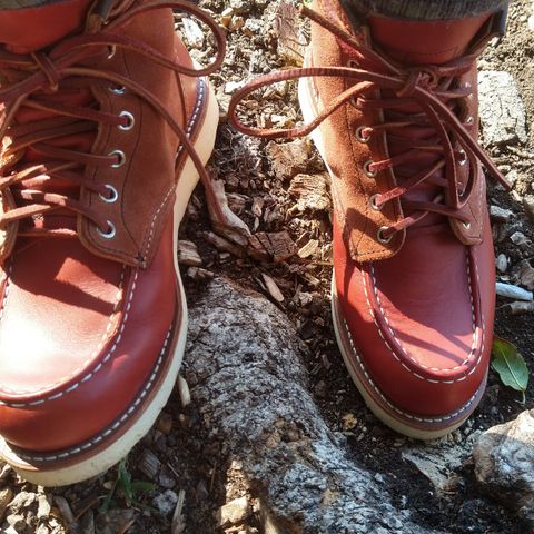 Red Wing 6-Inch Classic Moc in S.B. Foot Oro-Russet Portage