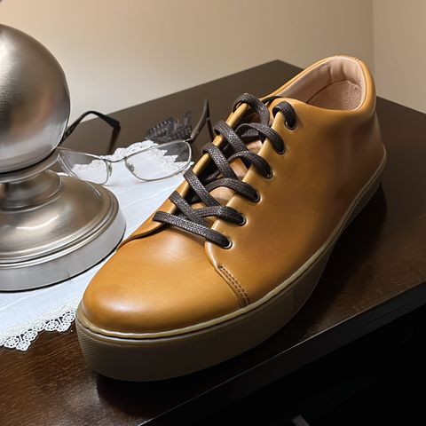 Crown Northampton Overstone in Cavalier Sunflower