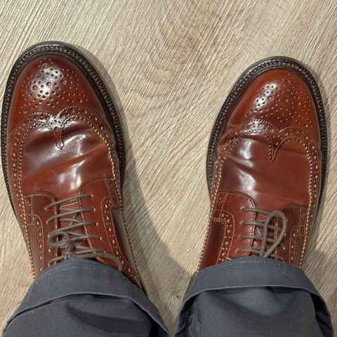 Grant Stone Longwing in Horween Garnet Shell Cordovan