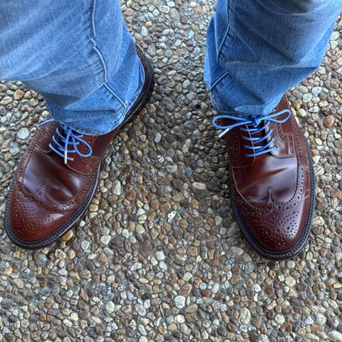 Grant Stone Longwing in Horween Garnet Shell Cordovan