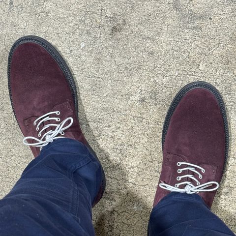 Grant Stone Plain Toe Blucher in Berry Suede