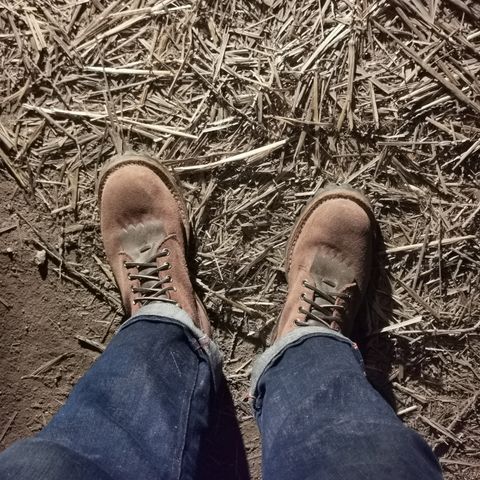 Drew's DROP10V in Seidel Elk Tan Roughout
