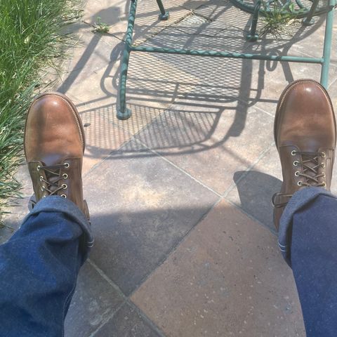 Viberg Service Boot in Maryam Toscanello TPR Horsebutt