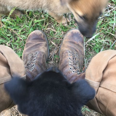 View photo of Star Brand 1930s 16-Inch Boots in Unknown Leather