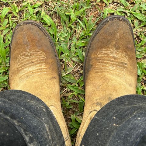 Rios of Mercedes Cowboy Boots in Lickety Split