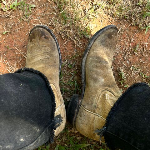 Rios of Mercedes Cowboy Boots in Lickety Split