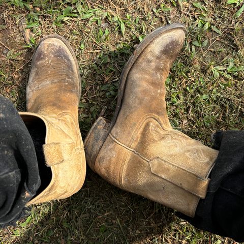 Rios of Mercedes Cowboy Boots in Lickety Split