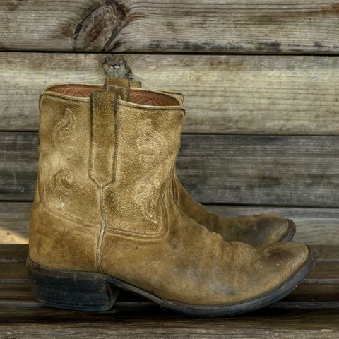 Rios of Mercedes Cowboy Boots in Lickety Split