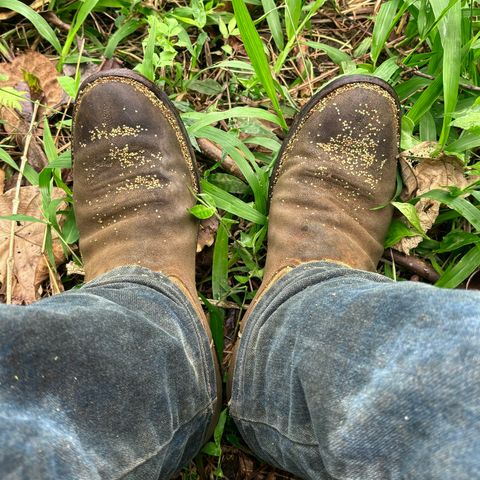 Rios of Mercedes Cowboy Boots in Lickety Split
