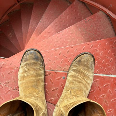 Rios of Mercedes Cowboy Boots in Lickety Split