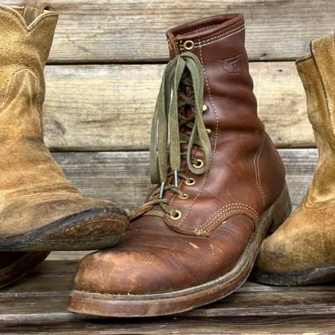 View photo of Walker Golden Retriever 984 in Brown Leather