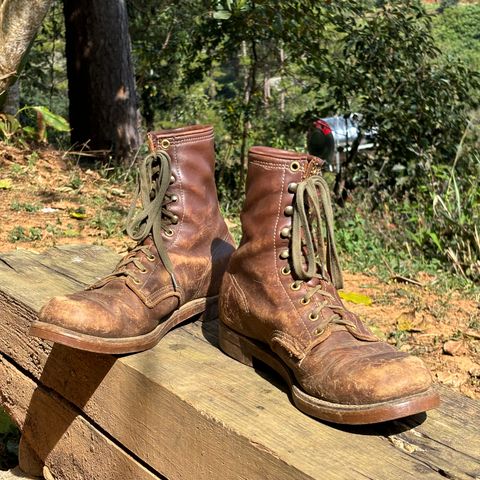 View photo of Walker Golden Retriever 984 in Brown Leather