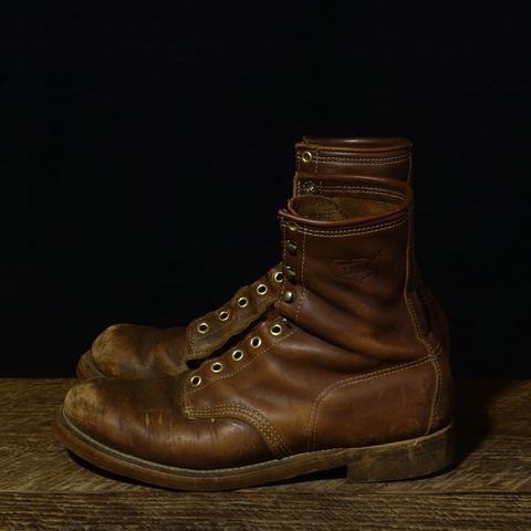 View photo of Walker Golden Retriever 984 in Brown Leather