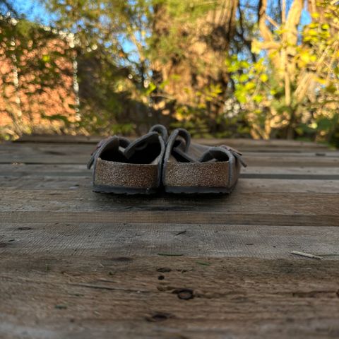Birkenstock Boston in Taupe Suede