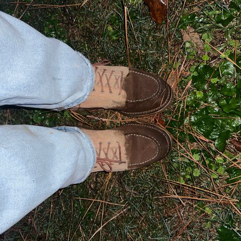 Red Wing 6-Inch Classic Moc in Dusty Rose Roughout Abilene Leather