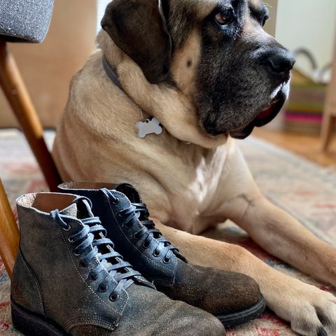 Oak Street Bootmakers Field Boot in Horween Natural Indigo Chromexcel Roughout