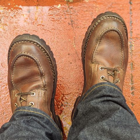 View photo of Nicks Moc Toe in Seidel 1964 Brown