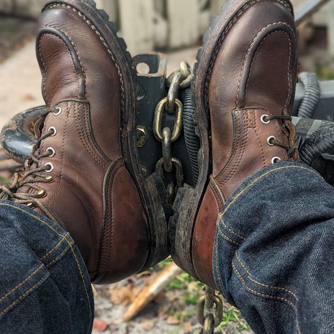 View photo of Nicks Moc Toe in Seidel 1964 Brown