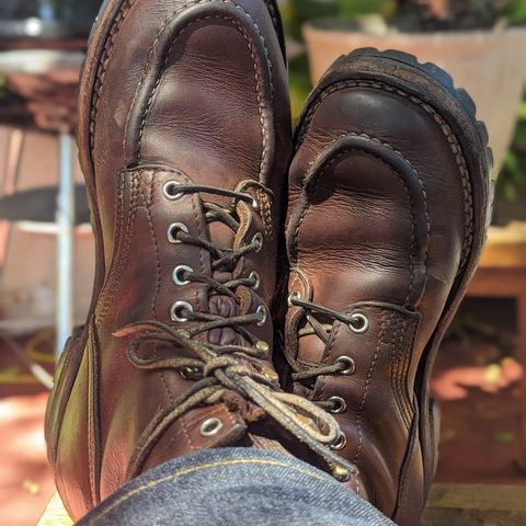 View photo of Nicks Moc Toe in Seidel 1964 Brown