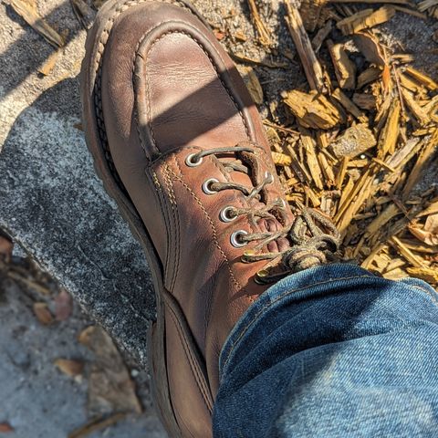 View photo of Nicks Moc Toe in Seidel 1964 Brown