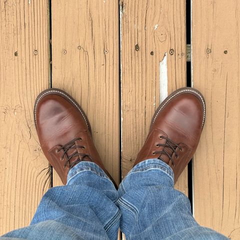 Caswell Shaw in Horween Whiskey Predator