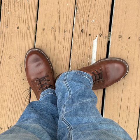 Caswell Shaw in Horween Whiskey Predator