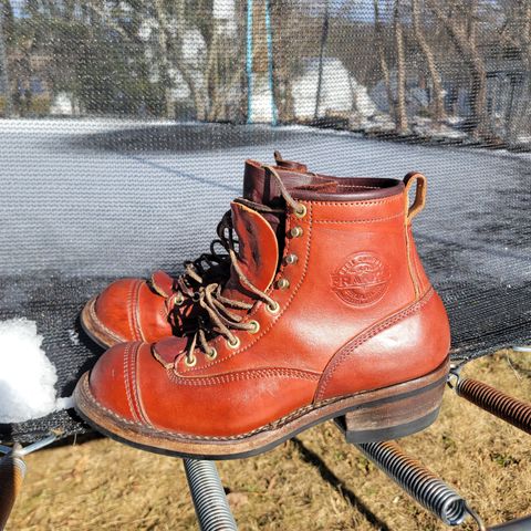 Frank's Wilshire in Wickett & Craig Chestnut English Bridle