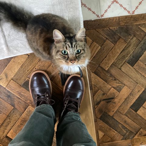 Jakkrabbits Field Boots in Indonesian Dark Brown Pull Up