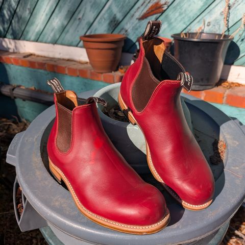 View photo of Wootten Jack Gusset in Bowden Red