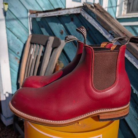 View photo of Wootten Jack Gusset in Bowden Red