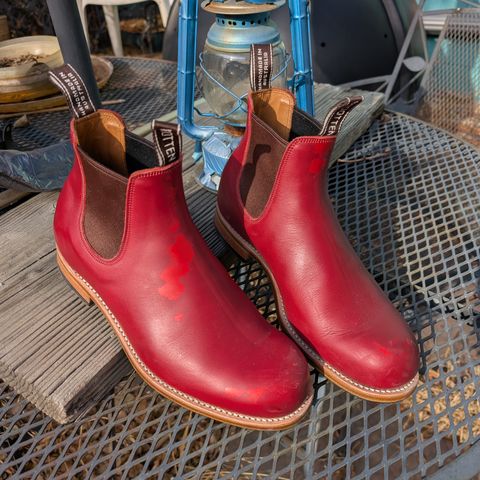 View photo of Wootten Jack Gusset in Bowden Red