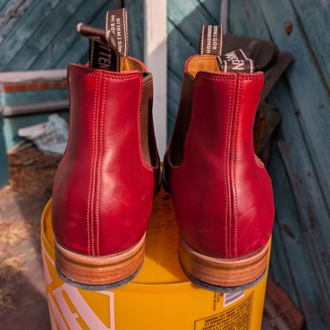 View photo of Wootten Jack Gusset in Bowden Red