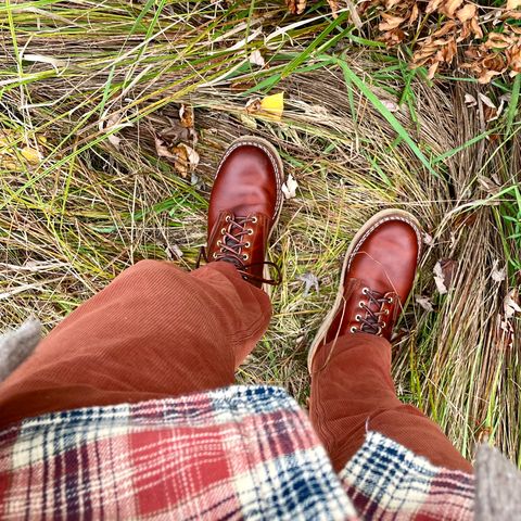 Nicks Free Range in Wickett & Craig Tan Oiled Latigo