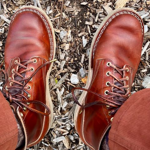 Nicks Free Range in Wickett & Craig Tan Oiled Latigo