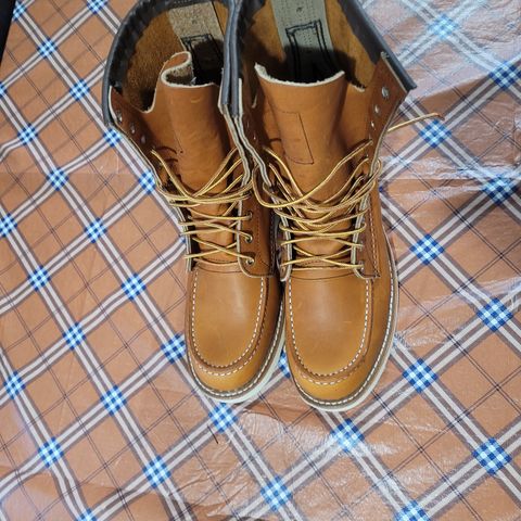 Red Wing 8-Inch Classic Moc in S.B. Foot Oro Legacy