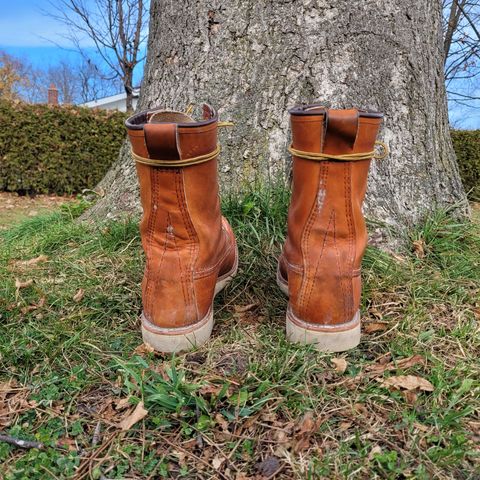 Red Wing 8-Inch Classic Moc in S.B. Foot Oro Legacy