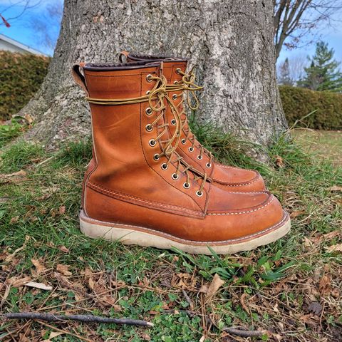 Red Wing 8-Inch Classic Moc in S.B. Foot Oro Legacy