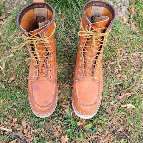 Red Wing 8-Inch Classic Moc in S.B. Foot Oro Legacy