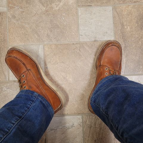 Red Wing 8-Inch Classic Moc in S.B. Foot Oro Legacy