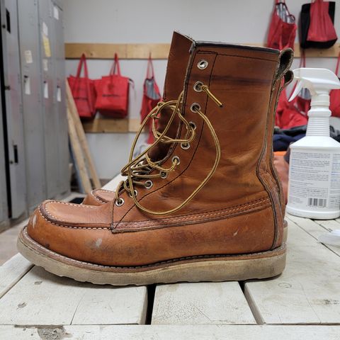 Red Wing 8-Inch Classic Moc in S.B. Foot Oro Legacy