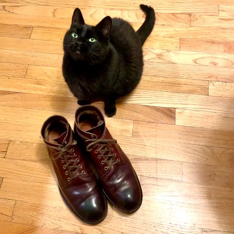 View photo of Viberg Service Boot in Horween Color 8 Chromexcel