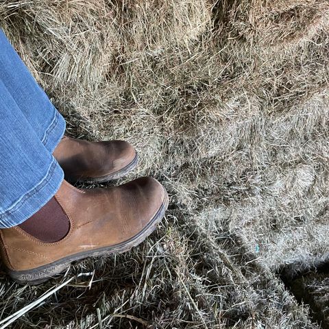 Blundstone Classic in Saddle Brown Crazy Horse