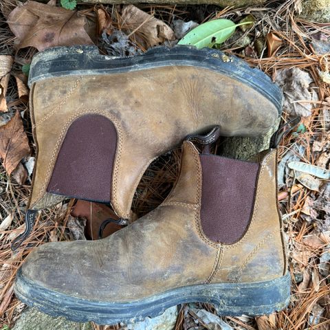 Blundstone Classic in Saddle Brown Crazy Horse